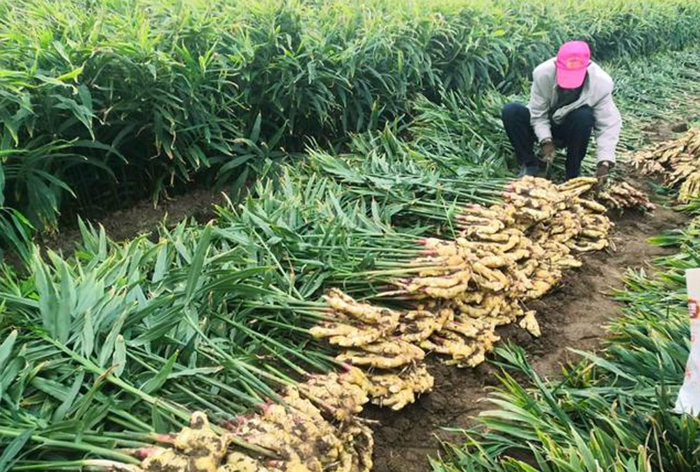 c156d203e4b1f8e c156d203e4b1f8e