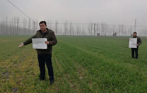 施护病毒套餐见证