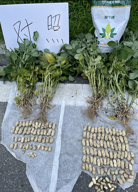 mmexport1691573476488